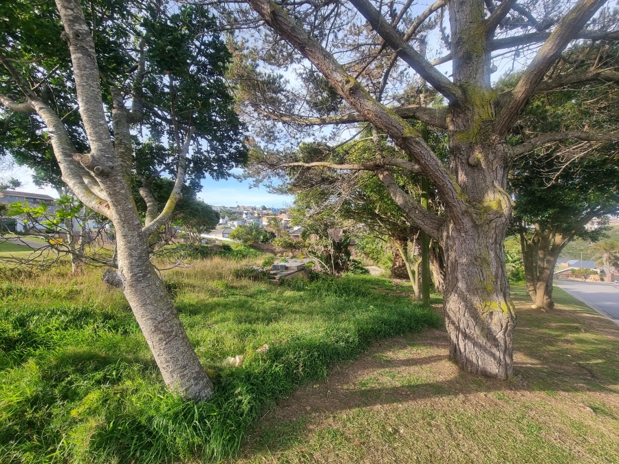 0 Bedroom Property for Sale in Dana Bay Western Cape